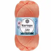 Kartopu Lotus K218 4