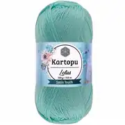 Kartopu Lotus K507 4