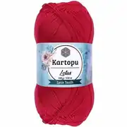 Kartopu Lotus K141 4