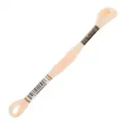 Anchor Muline  01009 2