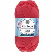 Kartopu Lotus K810 4