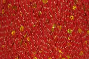 Rozetti Yarn Cotton Gold 1092 2