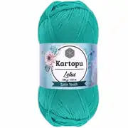 Kartopu Lotus K440 4