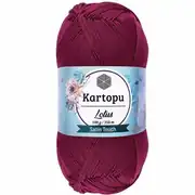Kartopu Lotus K747 4