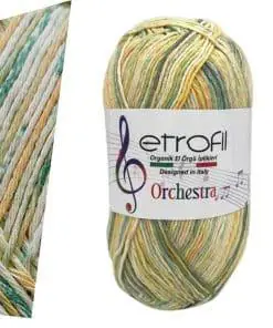 Etrofil Orchestra Cello 6