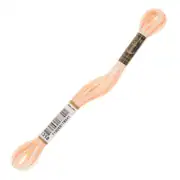 Anchor Muline  01318 2