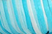 Fibra Natura Raffia Multi 117-20 3