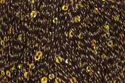 Rozetti Yarn Cotton Gold 1095 2