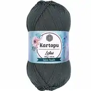 Kartopu Lotus K944 4
