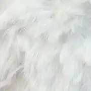 Moly Lapin 100 gr Beyaz Peluş Örgü İpi S01 2