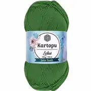 Kartopu Lotus K486 4