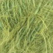 Gazzal Marilyn Merinos C 8259 2