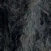 Moly Lapin 100 gr Siyah Peluş Örgü İpi S02 2