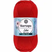 Kartopu Lotus K165 4