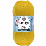 Kartopu Lotus K323 4