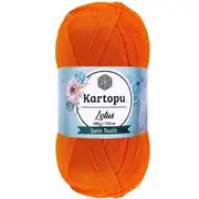 Kartopu Lotus K273 4