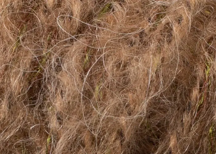 Rozetti Yarn Honey 210-14 3